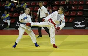 5f4a8c56baf23_PHOTOFIGHTINGJUJITSU.jpg